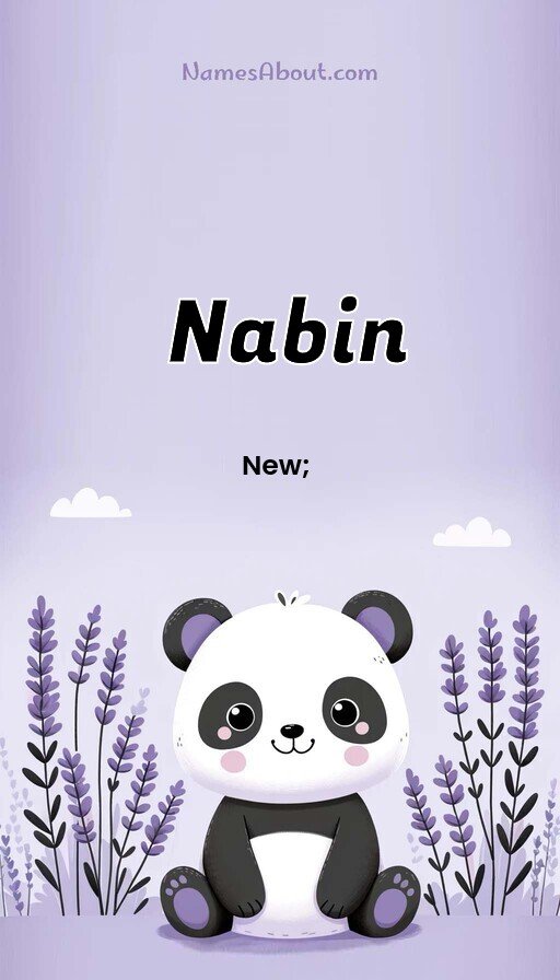 Meaning of Nabin