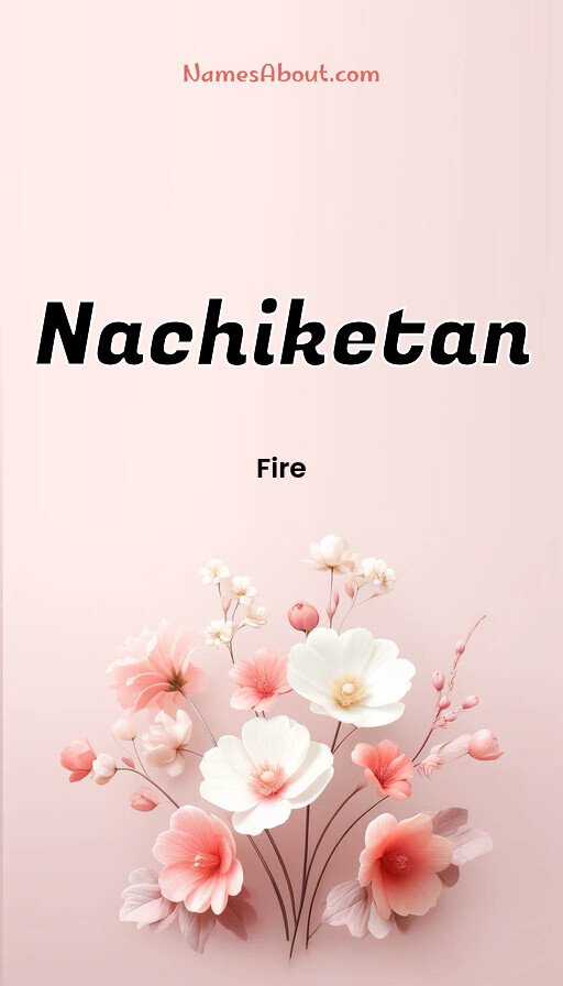 Meaning of Nachiketan