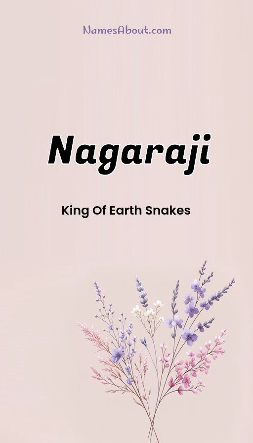 Meaning of Nagaraji