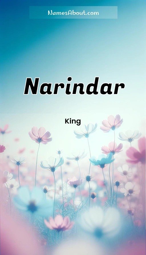 Meaning of Narindar