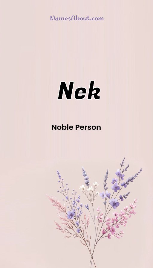 Meaning of Nek