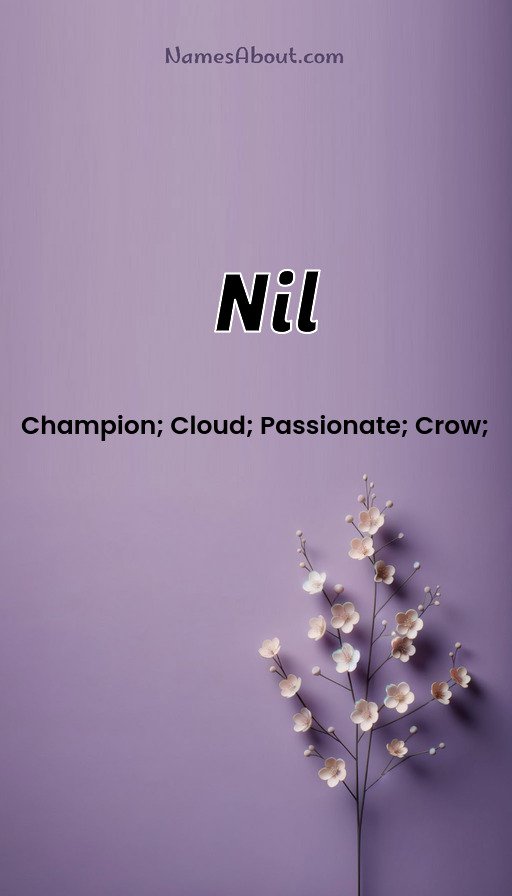 Meaning of Nil