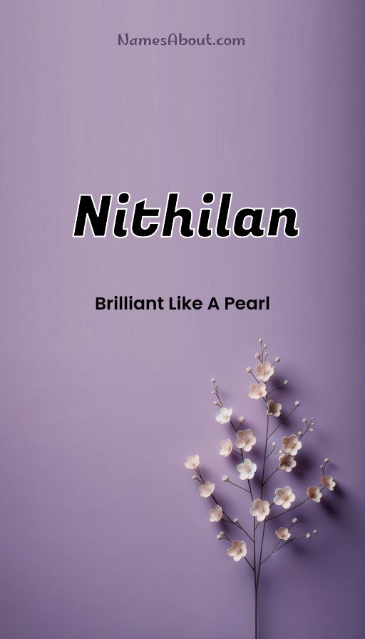 Meaning of Nithilan