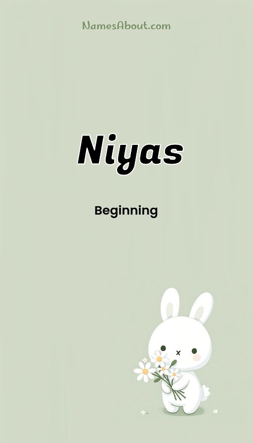 Meaning of Niyas