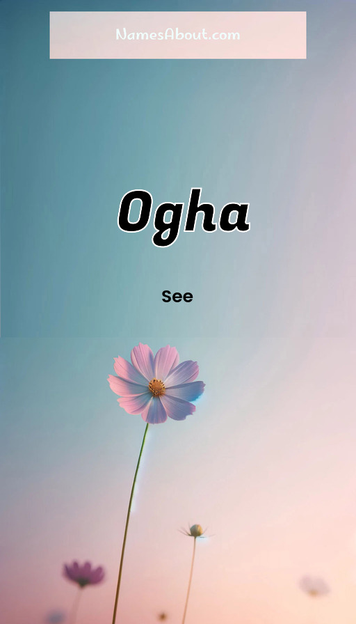 Meaning of Ogha