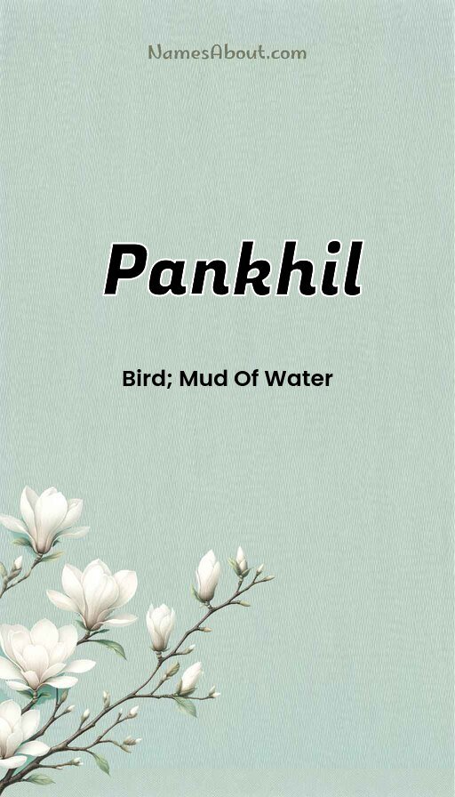 Meaning of Pankhil