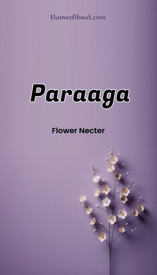 Meaning of Paraaga