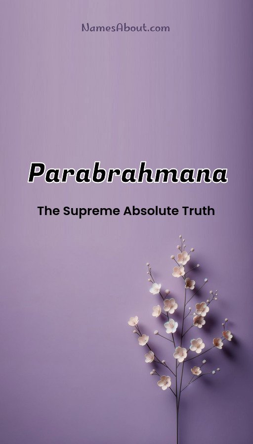 Meaning of Parabrahmana