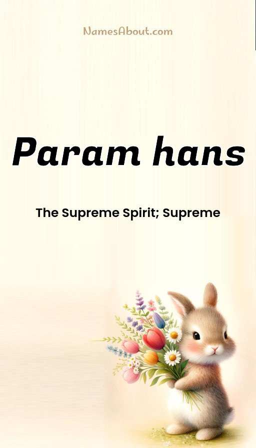 Meaning of Param hans