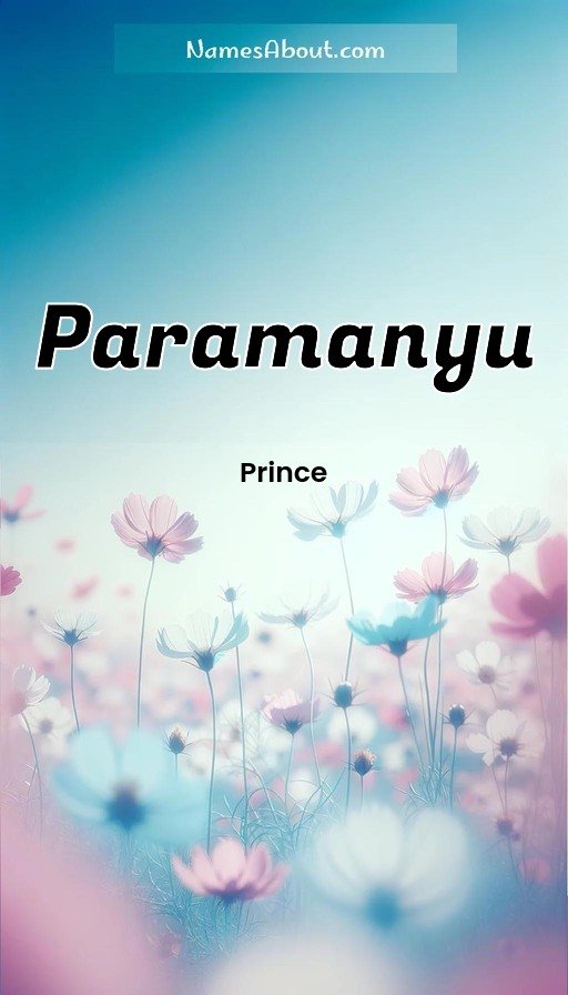 Meaning of Paramanyu