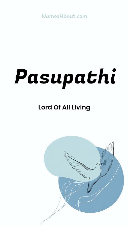 Meaning of Pasupathi