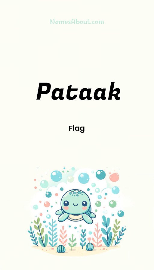 Meaning of Pataak