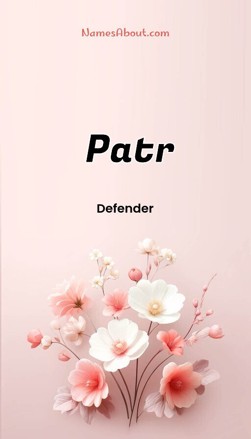 Meaning of Patr