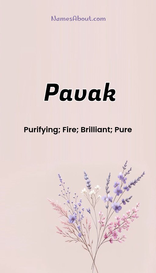 Meaning of Pavak