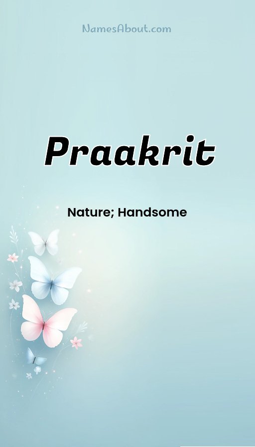 Meaning of Praakrit