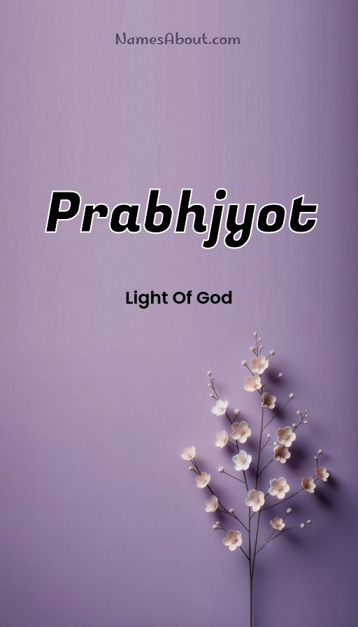 Meaning of Prabhjyot