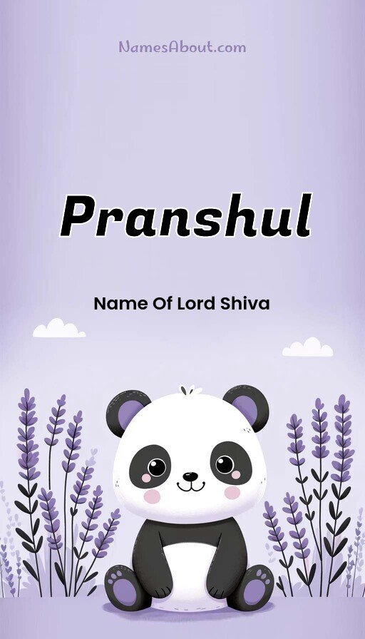 Meaning of Pranshul