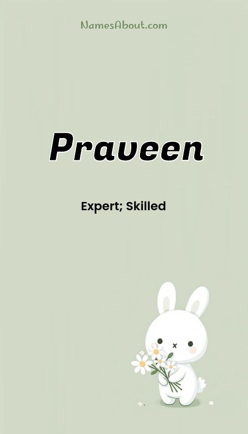 Illustration of Praveen