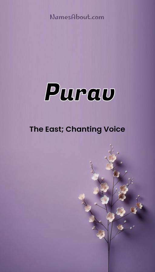 Purav name meaning, Meaning of Purav, Purav name origin, Purav name personality, Purav name numerology, Purav name significance, Purav name lucky number, Purav name traits, Popularity of Purav name, Spiritual meaning of Purav, Unique name Purav meaning