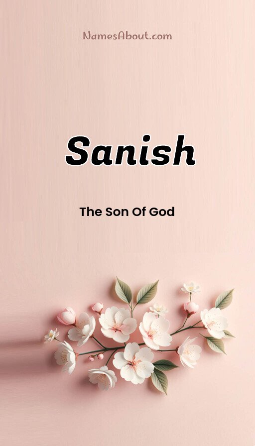 Meaning of Sanish