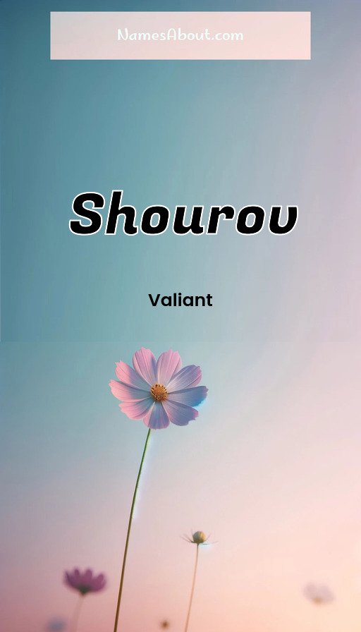 Meaning of Shourov