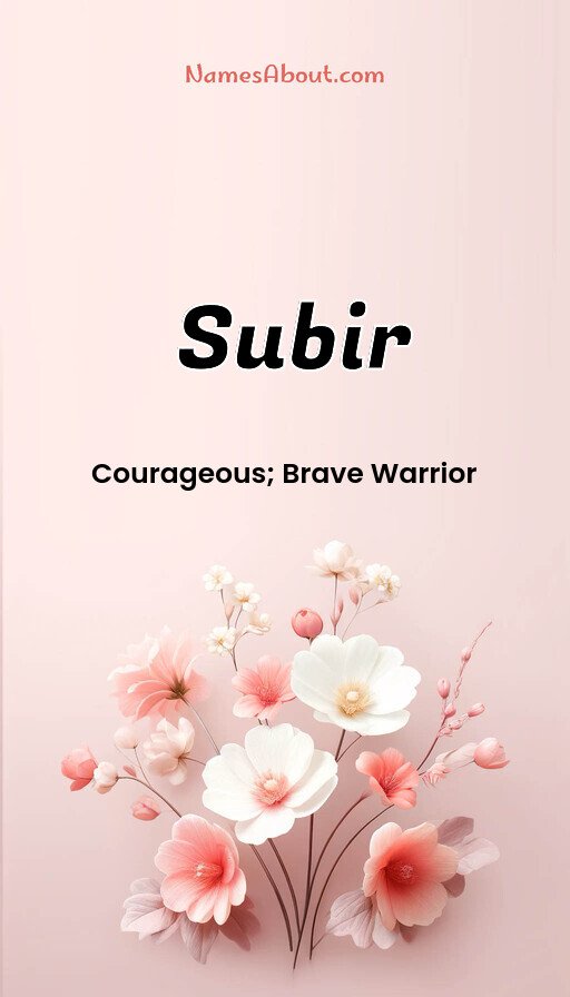 Meaning of Subir