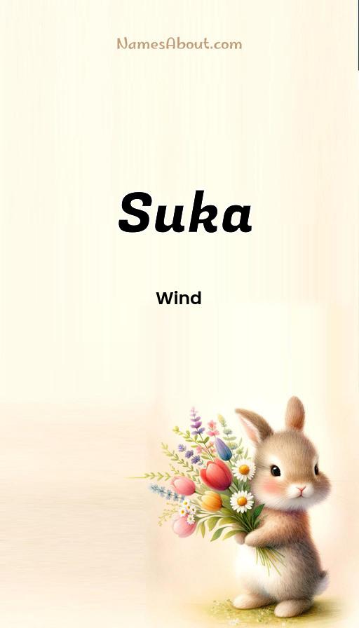 Meaning of Suka