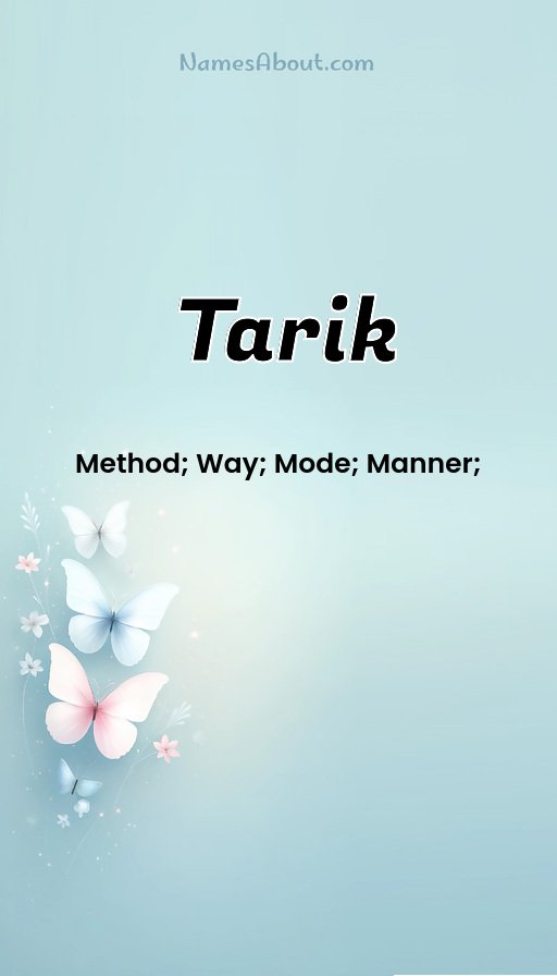 Meaning of Tarik