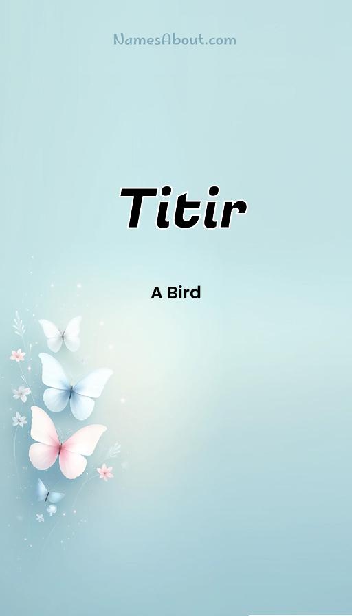 Illustration of Titir