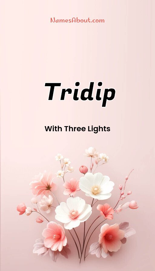 Meaning of Tridip