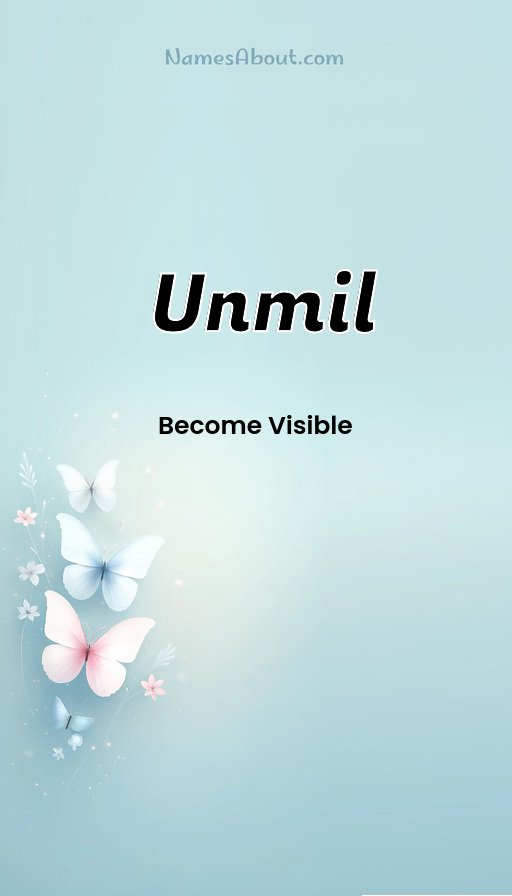 Meaning of Unmil