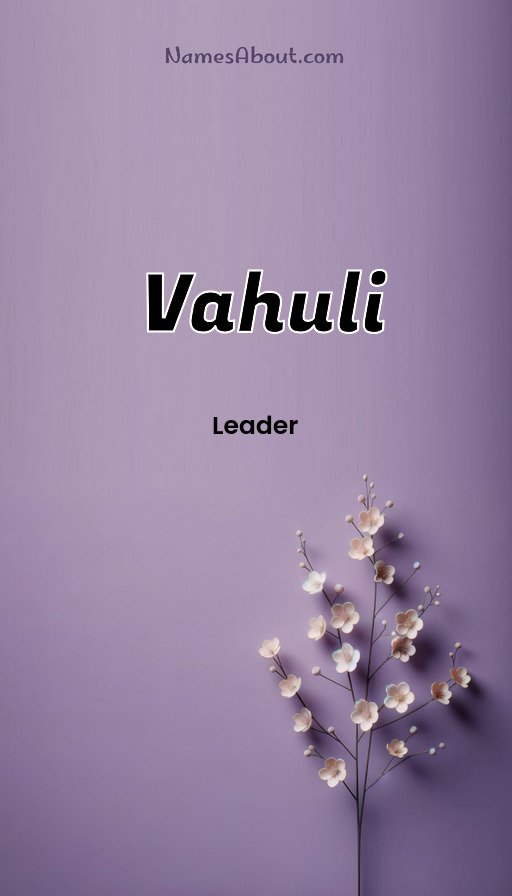 Meaning of Vahuli