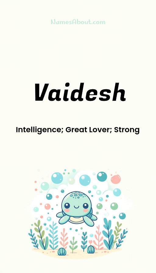 Meaning of Vaidesh