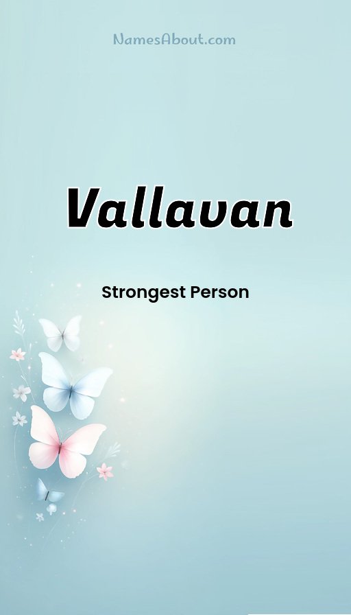 Meaning of Vallavan