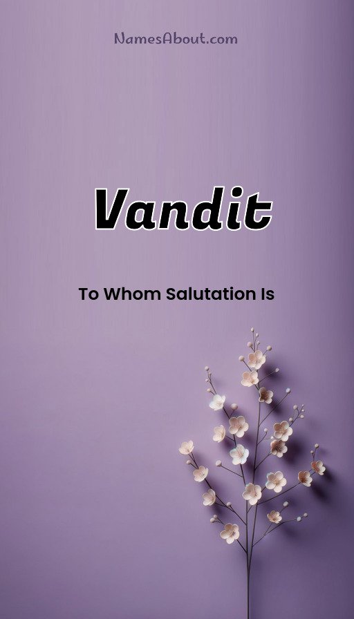 Meaning of Vandit