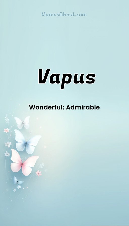 Meaning of Vapus