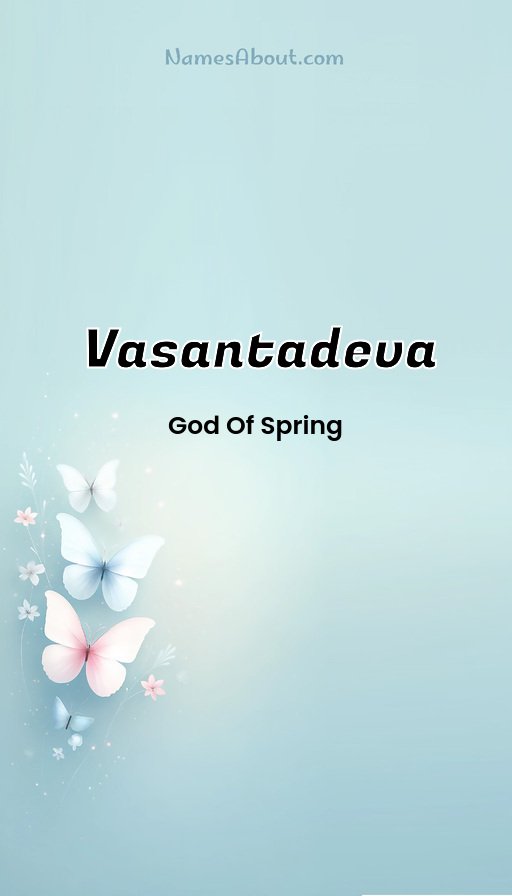 Meaning of Vasantadeva