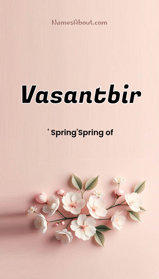 Meaning of Vasantbir