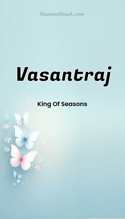 Meaning of Vasantraj