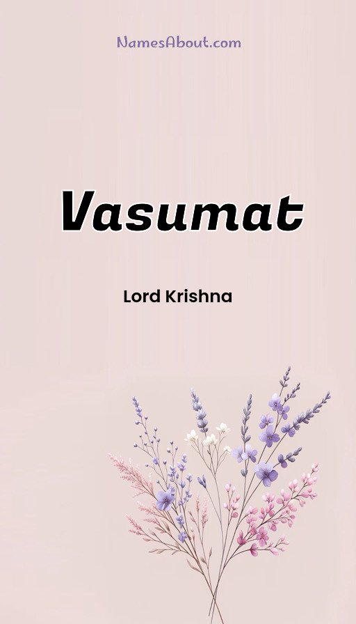 Meaning of Vasumat