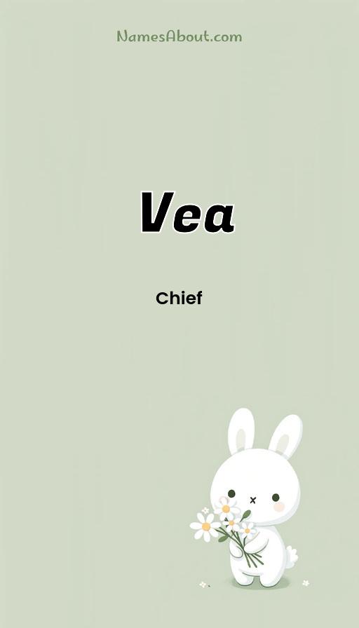 Meaning of Vea