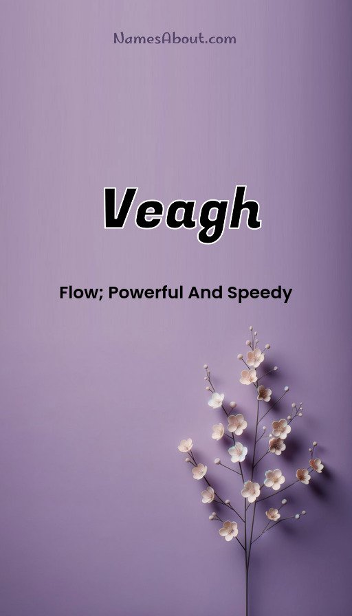 Meaning of Veagh