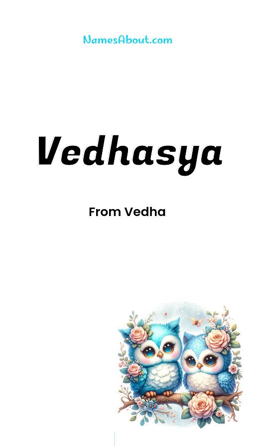 Meaning of Vedhasya