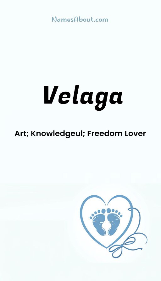 Meaning of Velaga