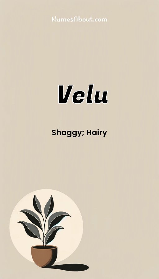 Meaning of Velu