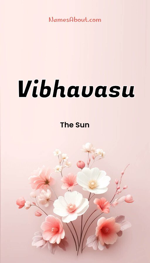 Meaning of Vibhavasu