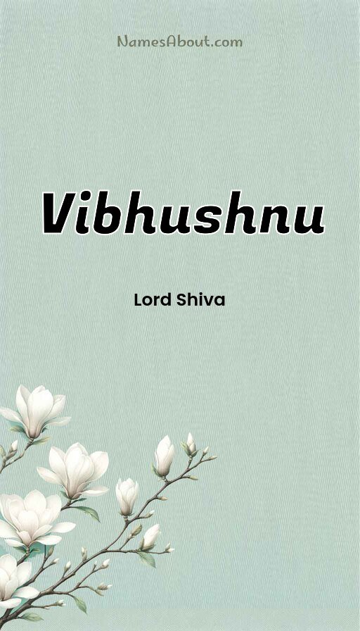 Meaning of Vibhushnu