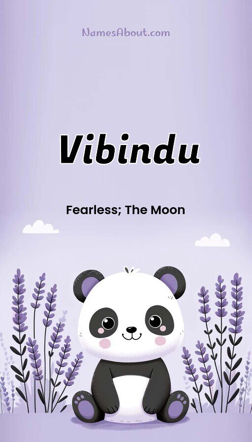 Meaning of Vibindu