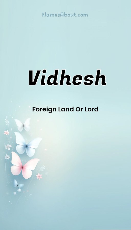 Meaning of Vidhesh
