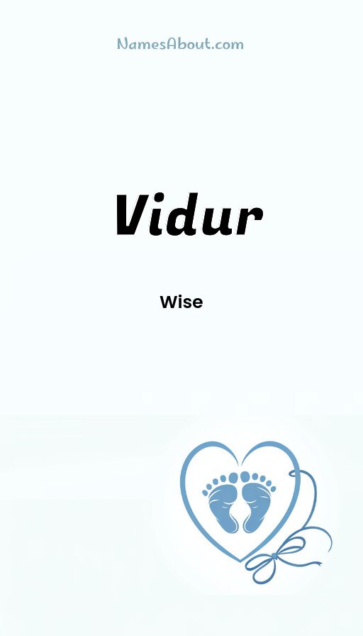 Meaning of Vidur